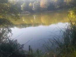 Hohenjesarscher See-4