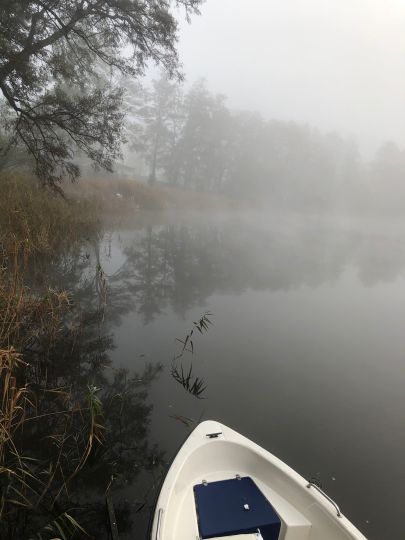 Hohenjesarscher See-1