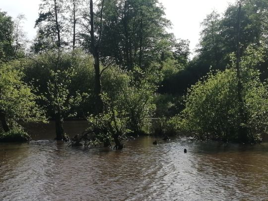 Hemmelsbäker Kanal (Oldenburg)-4