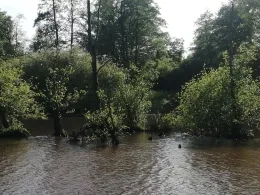 Hemmelsbäker Kanal (Oldenburg)-4