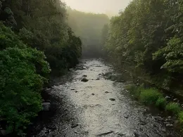 Chemnitz (Burgstädt)-3