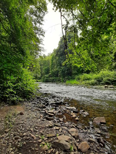 Chemnitz (Burgstädt)-4