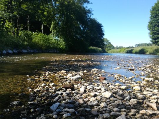 Chemnitz (Burgstädt)-2