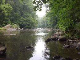 Chemnitz (Burgstädt)