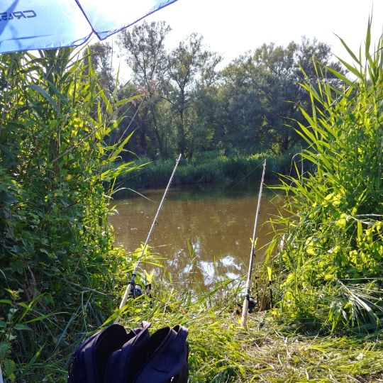 Wörnitz (Harburg/Schwaben)-1