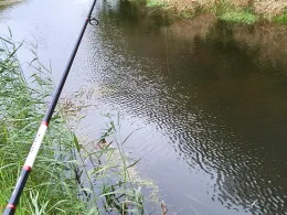 Mühlenfließ (Bad Doberan)