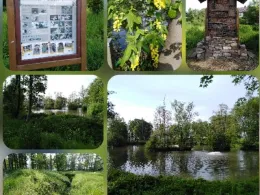 Stadtteich Bad Driburg