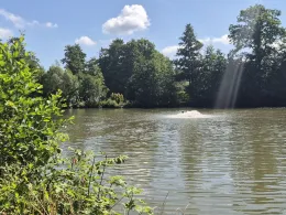 Stadtteich Bad Driburg-1