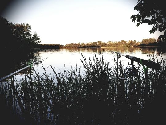 Großer Seddiner See angeln
