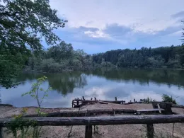 Waldsee (Fechenheim)-1