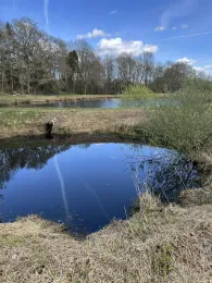 Teich am Kindergarten (Heede)-4