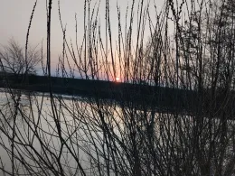 Kuhteich (Hüttenrode)-1