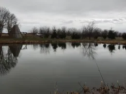 Kuhteich (Hüttenrode)