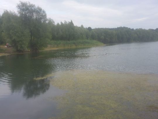 Kiessee Meinbrexen-3