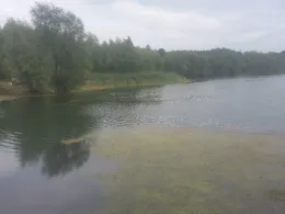 Kiessee Meinbrexen-3