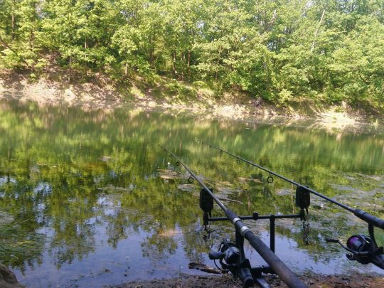 Staubecken Pirna Copitz-1