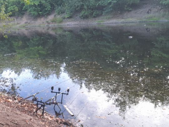 Staubecken Pirna Copitz-4