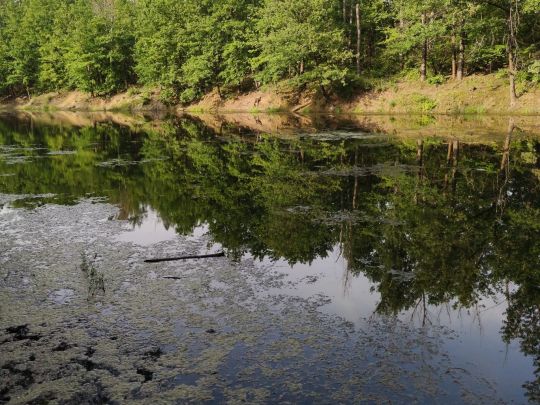 Staubecken Pirna Copitz angeln