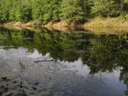 Staubecken Pirna Copitz-3