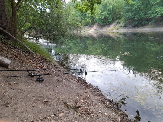 Staubecken Pirna Copitz-2