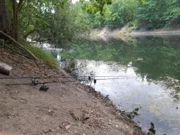 Staubecken Pirna Copitz-2