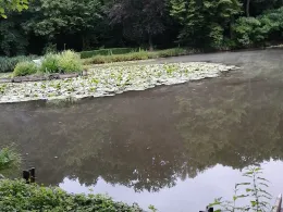 Angelteiche Broicher Siedlung