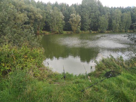 Bleicheteiche (Oberoderwitz)-3