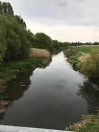 Wendel (Wittenberg)-2