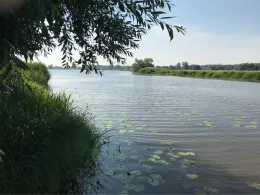 Wendel (Wittenberg)-3