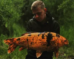 Thomasteiche (Mühlhausen)