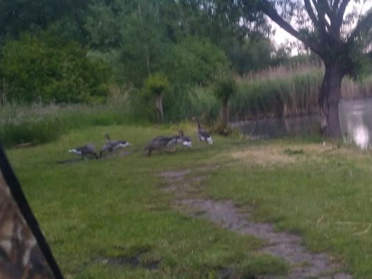 Thomasteiche (Mühlhausen)-4