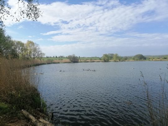 Thomasteiche (Mühlhausen)-3