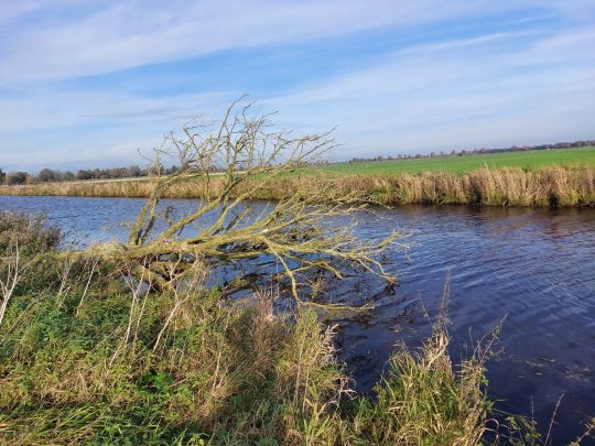 Hamme (Teufelsmoor)-4