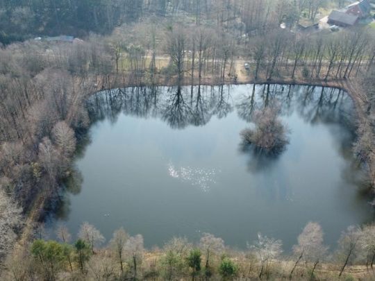 Schlichthorster Teich 1