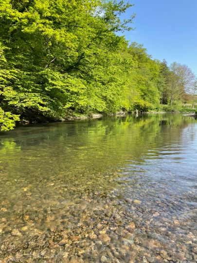 Agger (Neuhonrath-Wahlscheid)-3