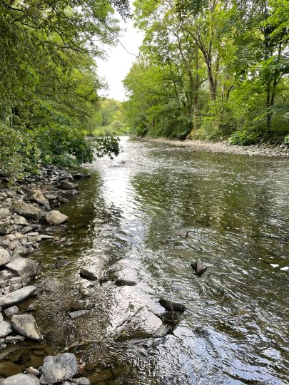 Agger (Neuhonrath-Wahlscheid)-1