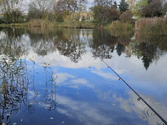 Selle-Kiesgrube (Sondershausen)-1