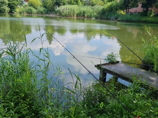 Selle-Kiesgrube (Sondershausen)-4