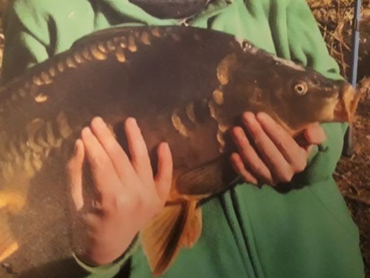 Dovensee (Lübeck)-1