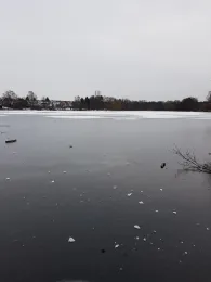 Dovensee (Lübeck)-2