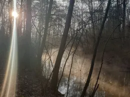 Kasterer Mühlenerft