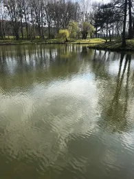 Wurm (Übach-Palenberg)-1