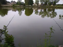 Brauteich Großpösna-2