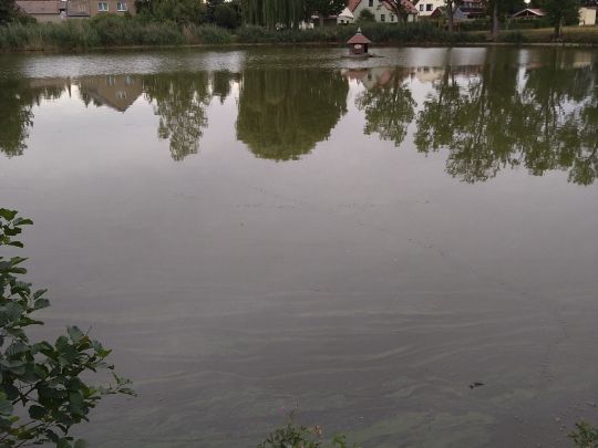 Brauteich Großpösna-3