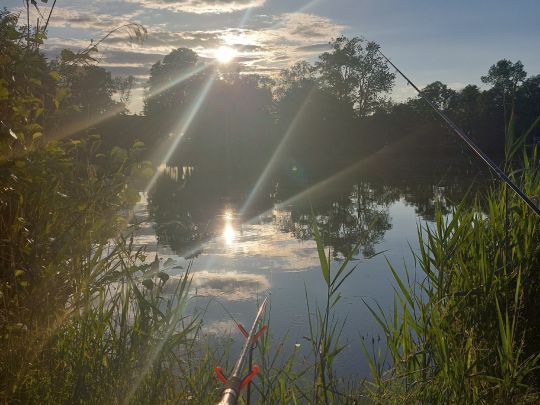 Brauteich Großpösna-4