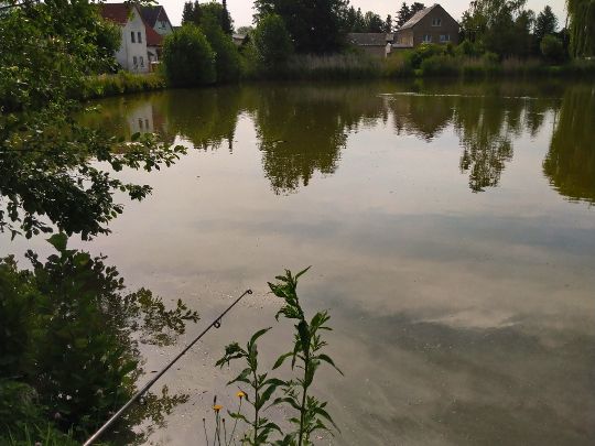 Brauteich Großpösna-1