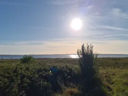 Bogenser Strand