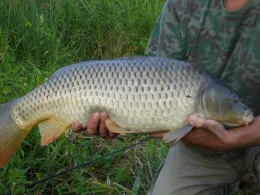 Karwesee (Oberkrämer)-1