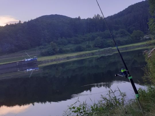 Neckar (Neckarsteinach)-1