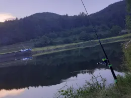 Neckar (Neckarsteinach)-1